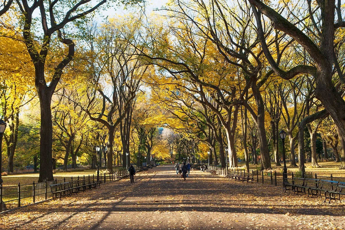Healthy walks during COVID-19
